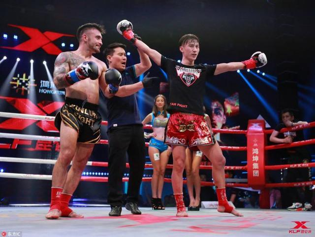 武林风最新一期比赛结果,深度分析与个人观点