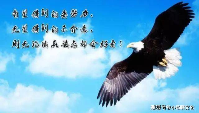 最新语录短句,变化中的学习,自信与成就的力量