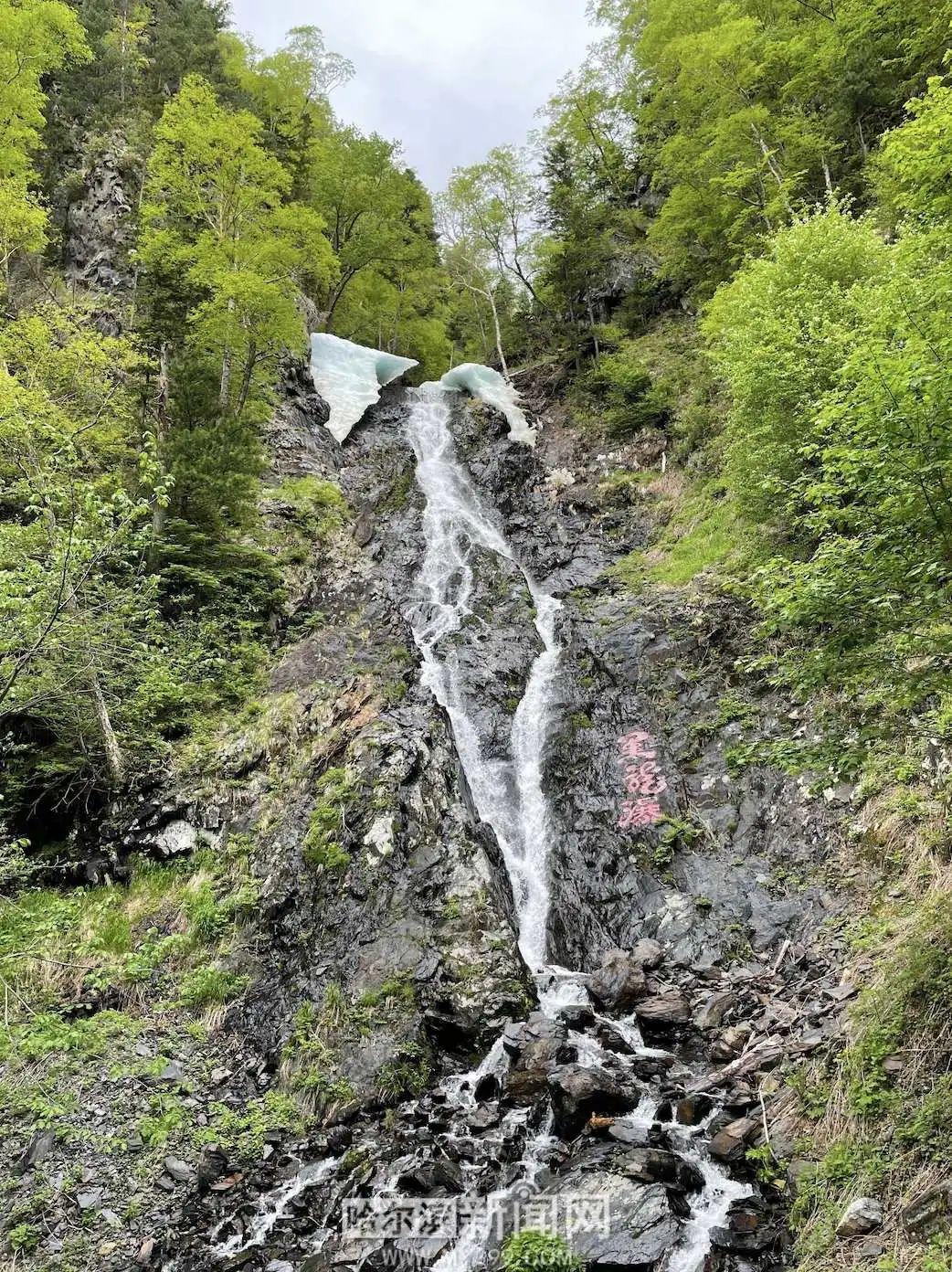 UFC王冠最新比赛,热血激战,荣耀之巅