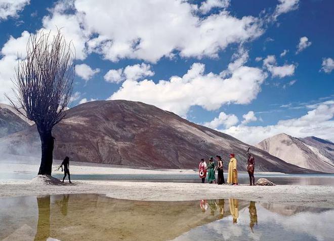 年龄差距大的电影,一场探索自然美景的鼓舞之旅