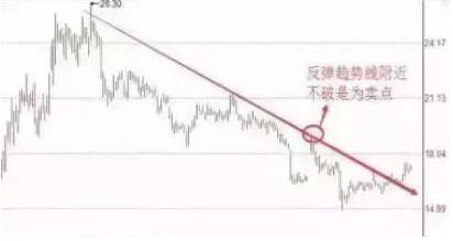 羊只市场最新预测走势