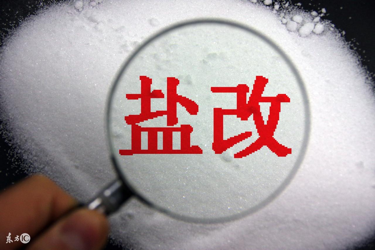 最新盐业改革动态,步骤指南