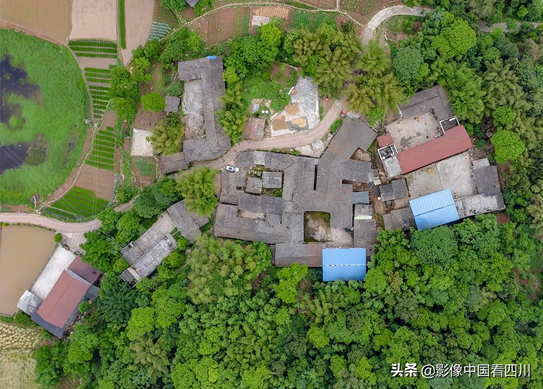 🌟红星路南延线仁寿段最新进展🌟